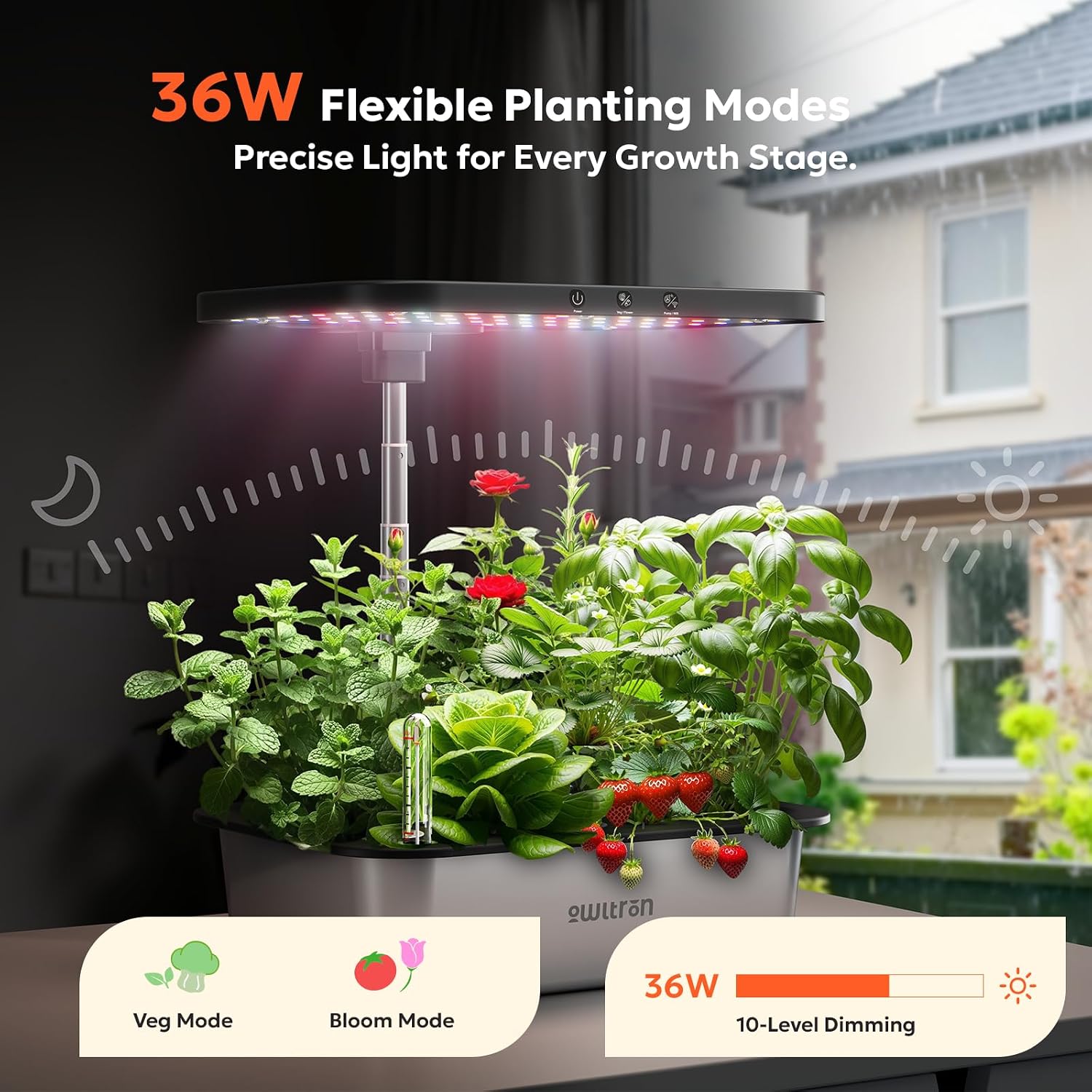Système de culture hydroponiqu - Smart Pod Garden avis et prix