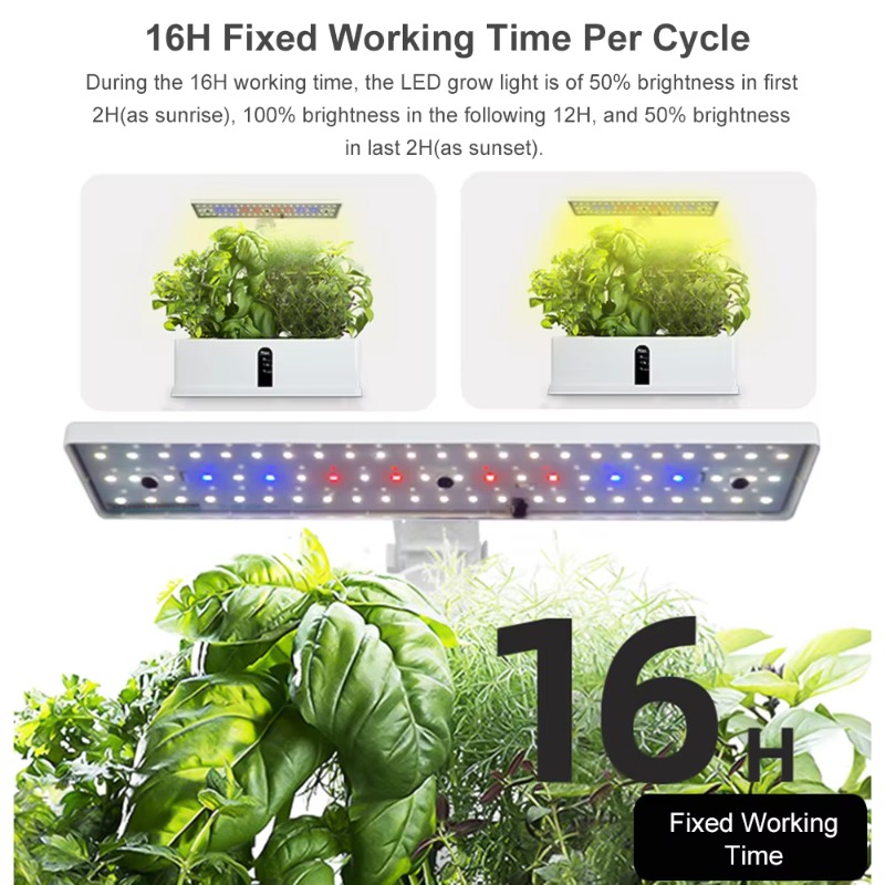 Système de culture hydroponiqu - Smart Pod Garden avis et prix