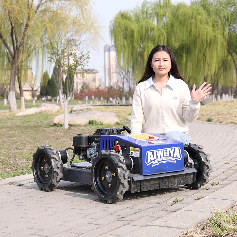 Tondeuse à gazon robotisée aut - Smart Garden Gadgets avis et prix