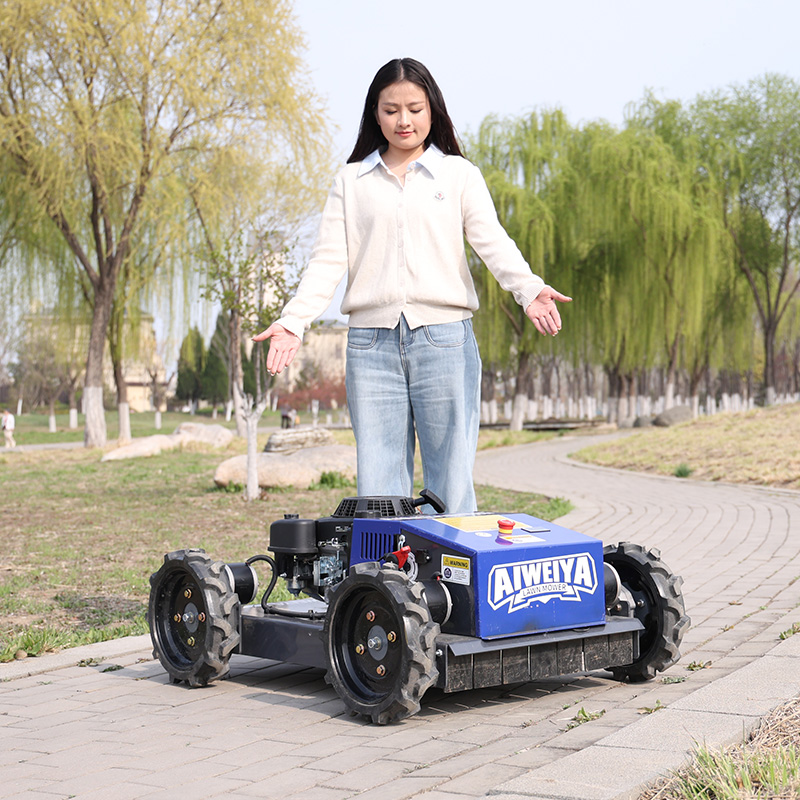 Tondeuse à gazon robotisée aut - Smart Garden Gadgets avis et prix