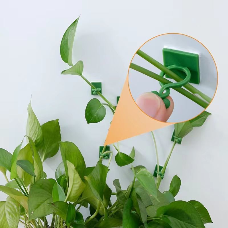 Clips de fixation murale auto- - Smart Garden Storage avis et prix