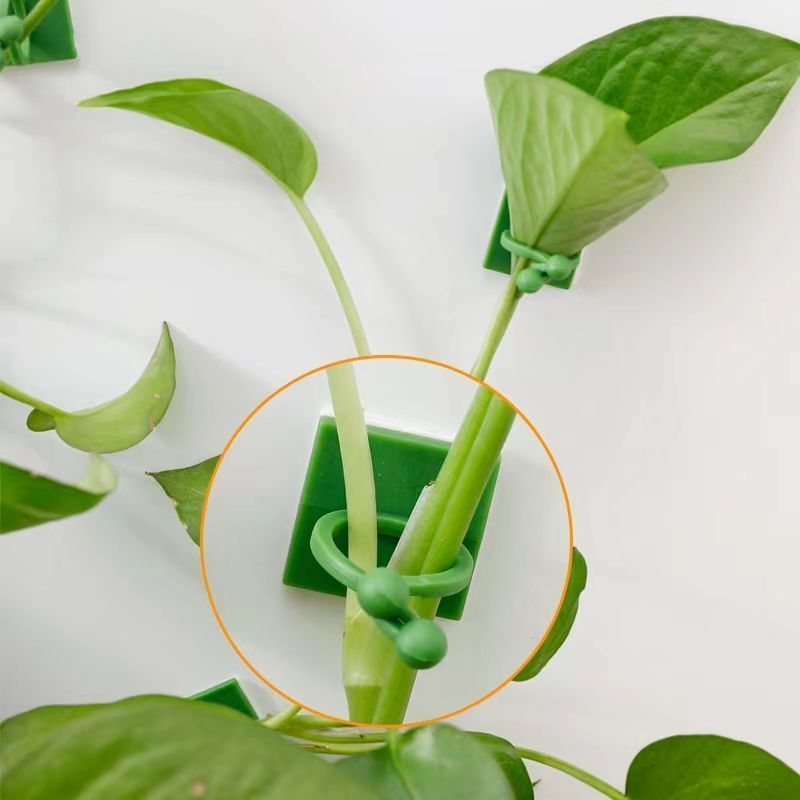 Clips de fixation murale auto- - Smart Garden Storage avis et prix