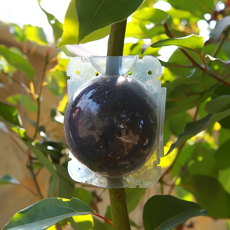 Kit de 10 pièces pour la propa - Smart Garden Storage avis et prix