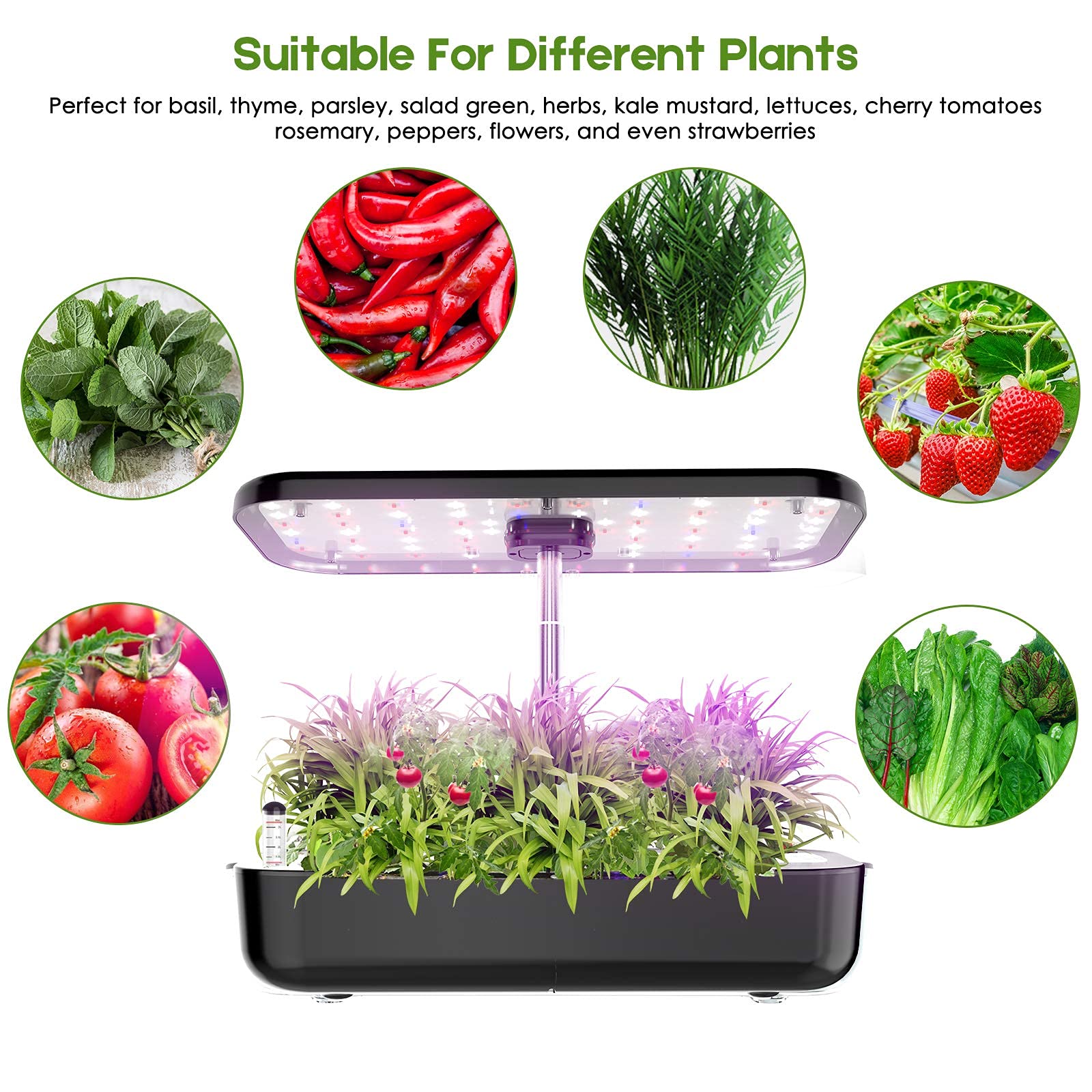 Kit de démarrage de jardin d'h - Smart Pod Garden avis et prix